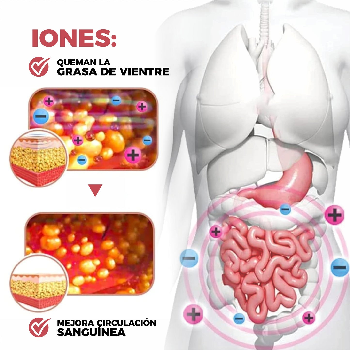 Faja Ultrareductora Con Iones Adelgazantes - IonBody™